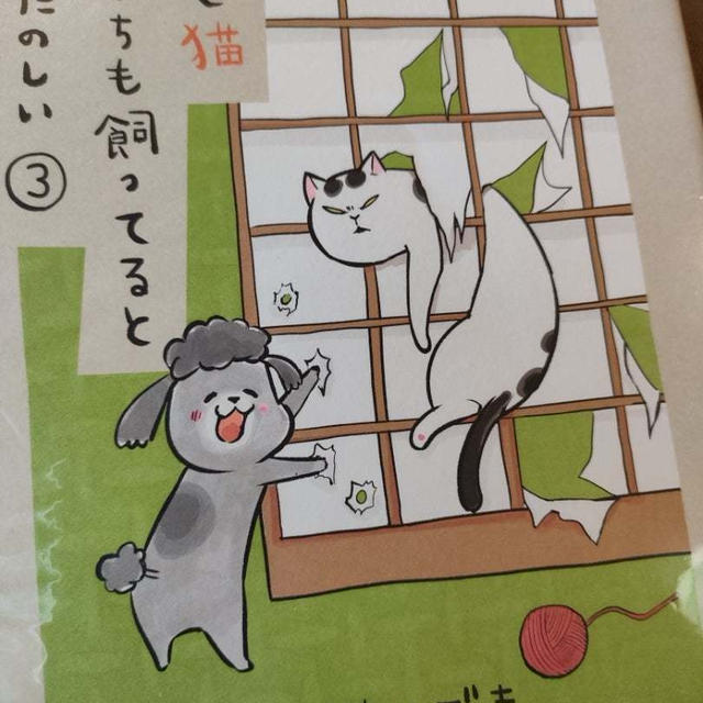 大掃除サボり中…初売りも初詣もパスの予定…