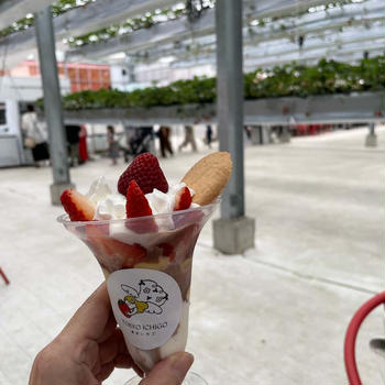 深大寺からのいちご狩りサイクリング