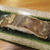 【旨魚料理】ガンゾウビラメの塩焼き