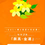 真夏の花言葉診断