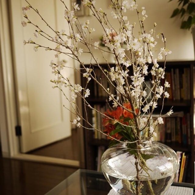 家でお花見。