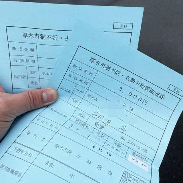マイナンバーカード交付とニャンコ去勢手術費用助成券 〜厚木市役所へ〜