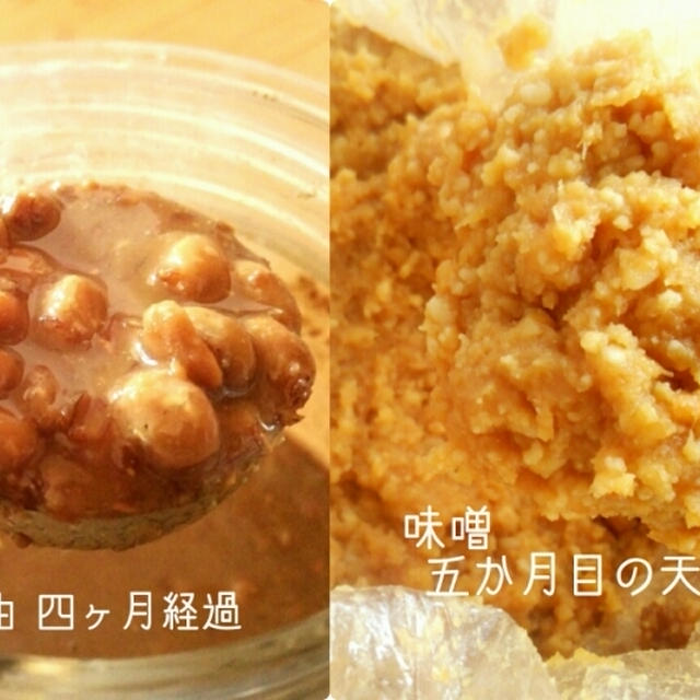 今日のイチオシ朝ごはん／また最近のいろいろ