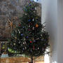 ＊　クリスマスツリー、無事に完了 - 今年はホワイトクリスマス？