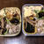 最近のお弁当