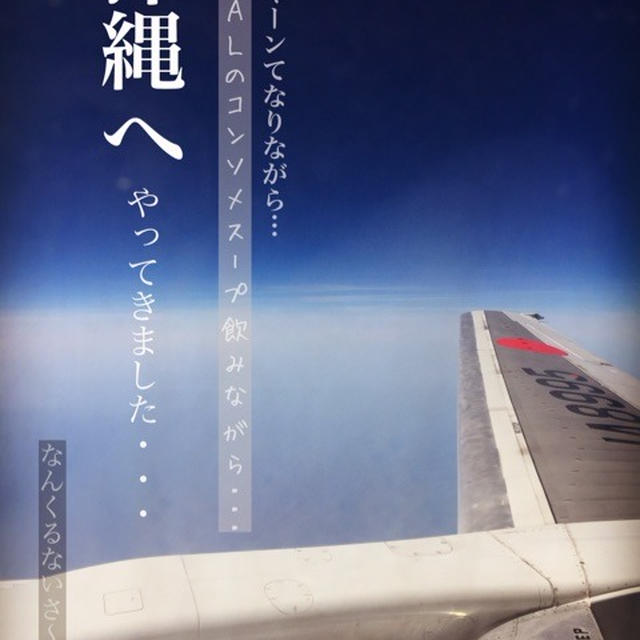 沖縄へ行ってきました＊１日目