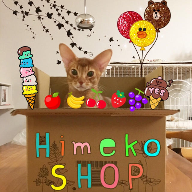 ひめちゃんショップ♪