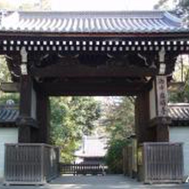 ☆冬の京都の旅：来迎院☆