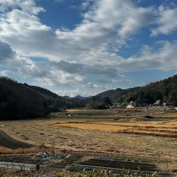 ラスト農園・高菜漬け仕込み・塩たくあんなど