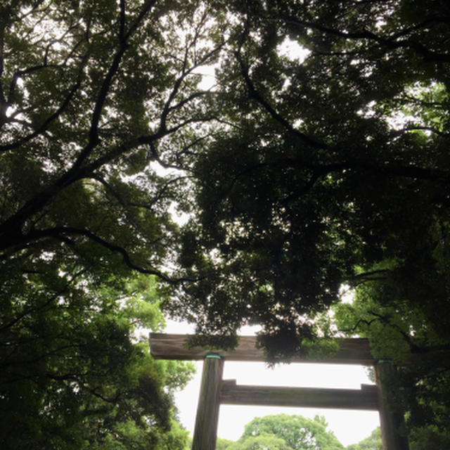 散歩は熱田さん