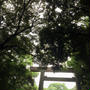 散歩は熱田さん
