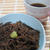 ヘルシー☆もずくのそうめん