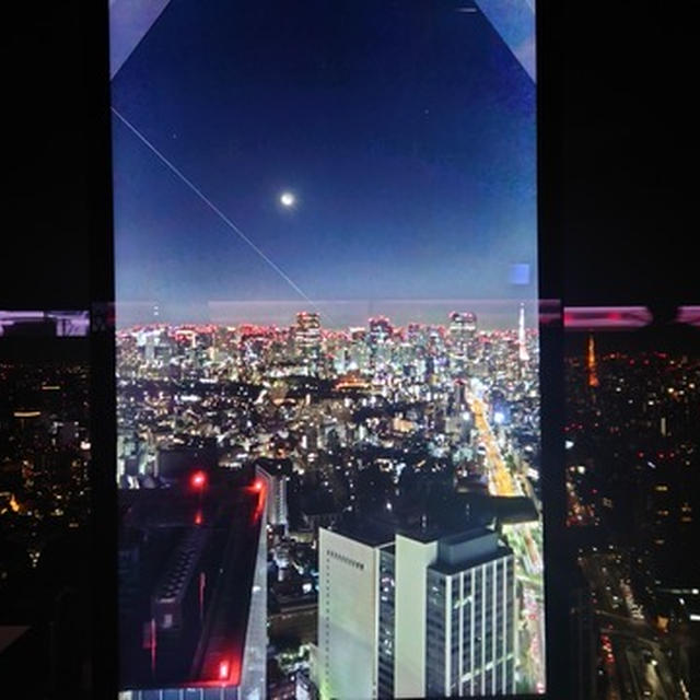 渋谷スカイで夜景の心地よい時間