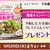 くらしのアンテナ&レシピブログmagazin　Vol.７