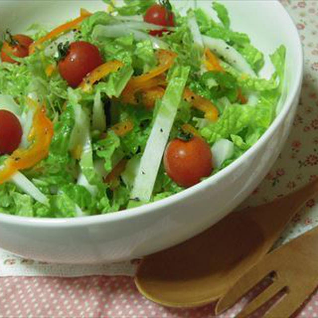 白菜サラダ・オイシックス野菜