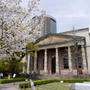 旧桜宮公会堂レストラン#最近撮った写真は