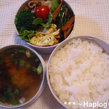 今日の男子弁当　～2013/2/13～