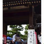 知恩寺手づくり市＆鴨川の桜