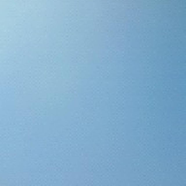本日、運動会です