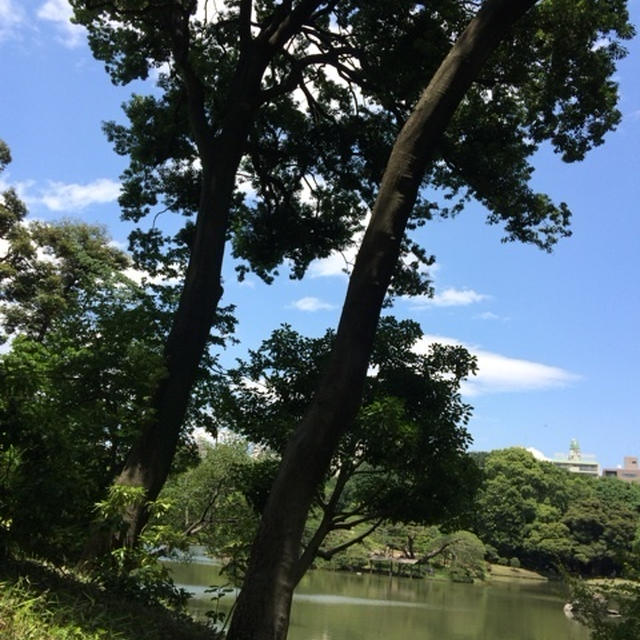 お外でランチ