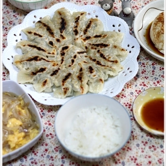 野菜たっぷり！！手作り餃子ともやしたまご炒めのランチ。。。と、ほーちゃんのごはん。