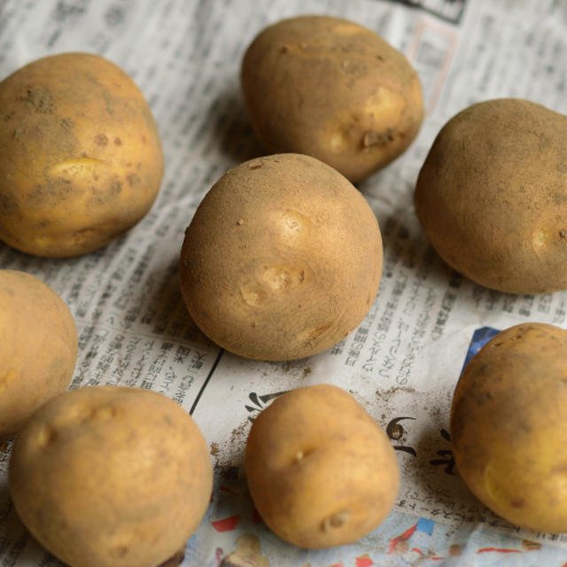 Potato mixed with Pesto Giapponese 新じゃがの和風ペスト和え