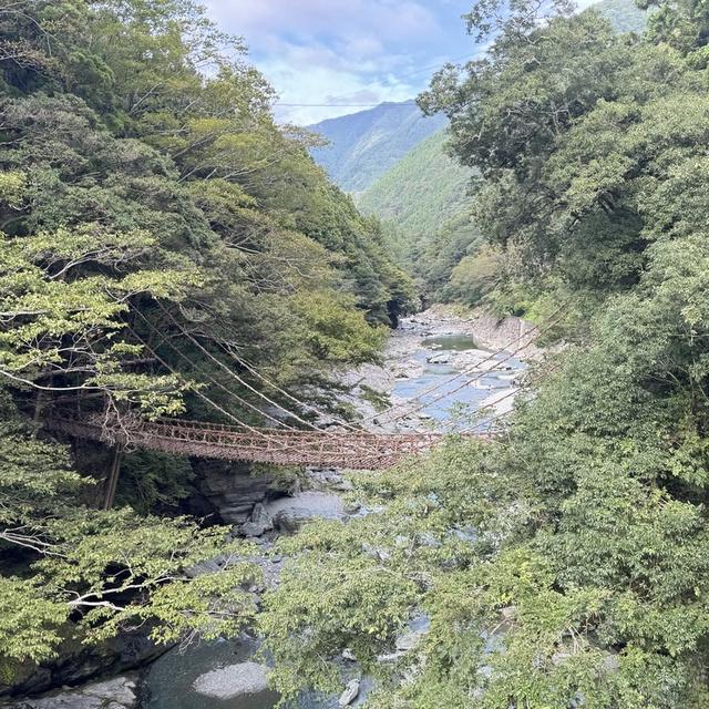 祖谷の蔓橋（そやのかずらばし）