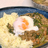 畑のほうれんそう入り本格だけどお手軽キーマカレー〈モニター〉