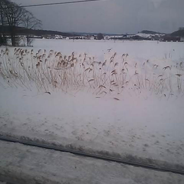 雪国に来ました。