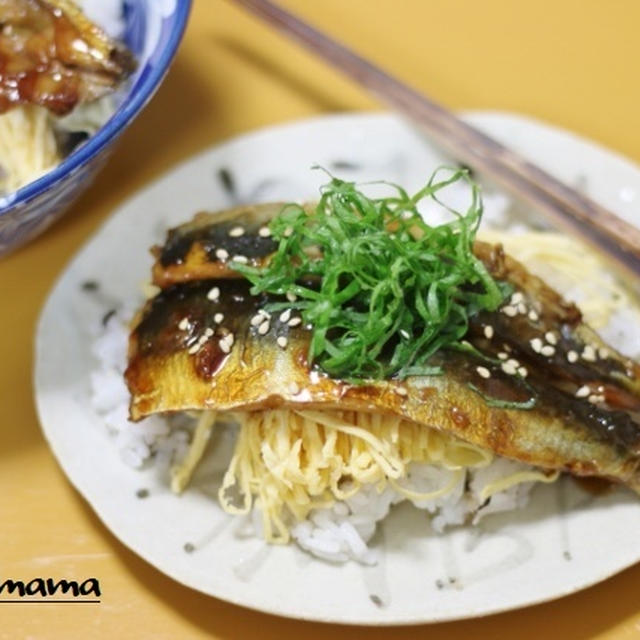 ご飯が進む！イワシの蒲焼丼