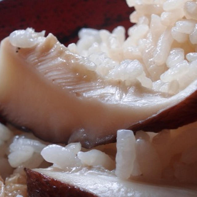 秋子の干し椎茸ご飯：旬を頂く贅沢：新聞社はブレ始めたのかそれとも進歩か「日経」電子版で思う