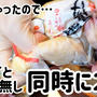 気力ゼロの日でも料理は作る…包丁まな板無しで２品作りました