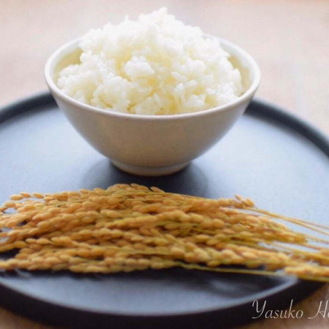 【コラム】ダイエット中にお米は何合食べて良いのか