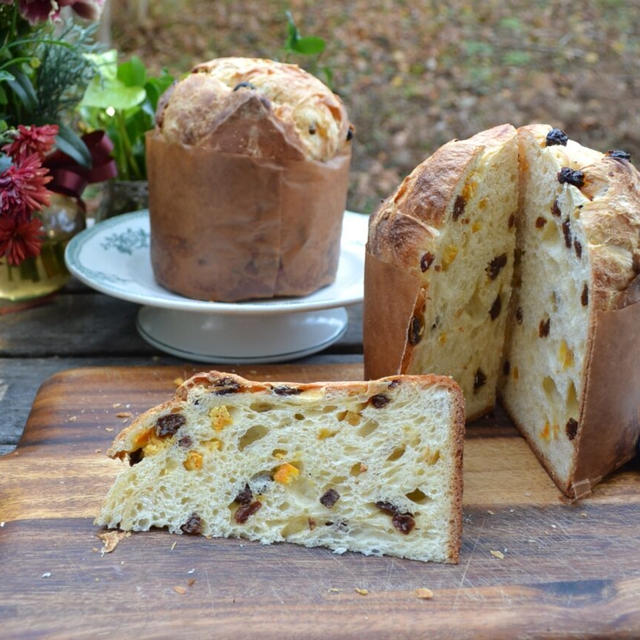 Panettone ホシノ天然酵母でパネトーネ