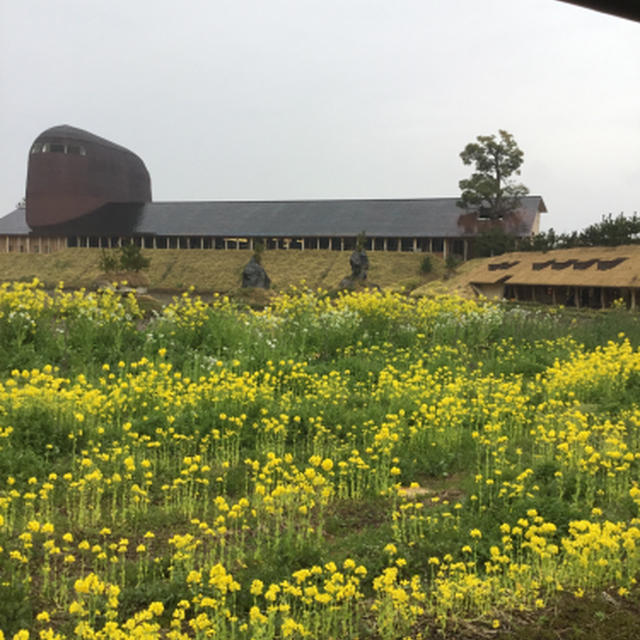 3月最終、雨に煙る琵琶湖畔を走る