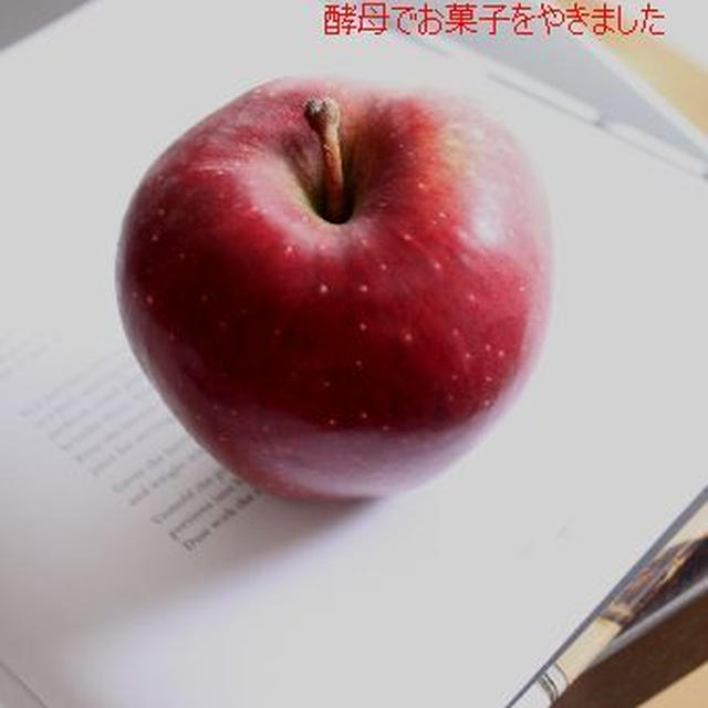 キャラメルシュトーレンを、クリスマスプレゼントに＾＾