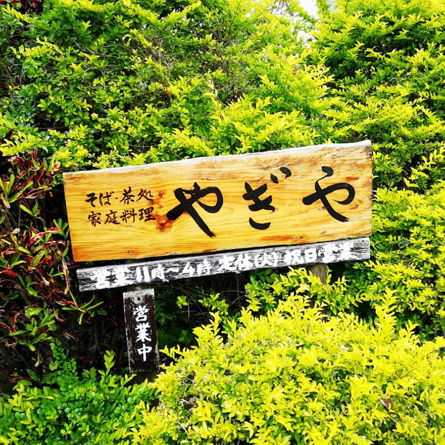 沖縄そば　沖縄　やぎや