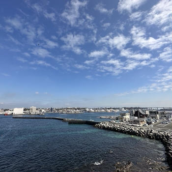 【三浦半島・三崎口】『みさきまぐろきっぷ』を使って城ヶ島周遊&美味しいマグロを食べてきました！【5千円以下の日帰り】