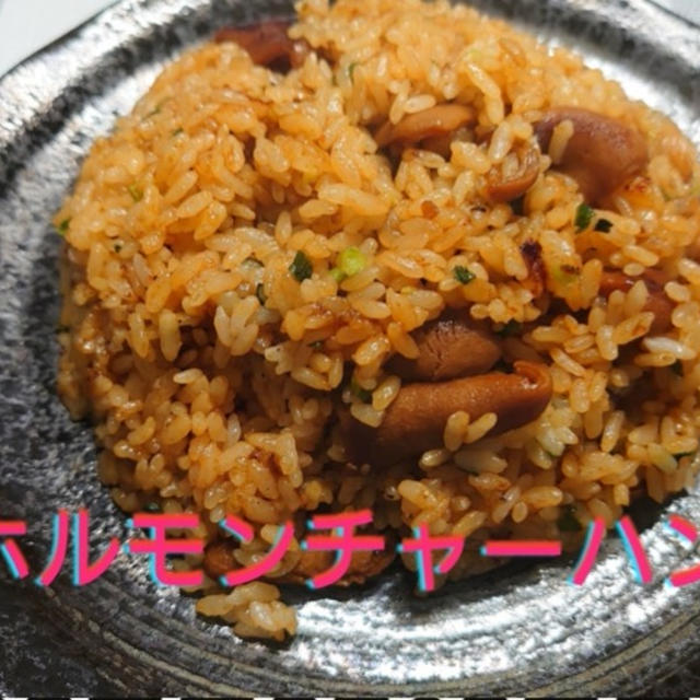 【晩御飯のご提案】ホルモンチャーハン