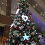 メリークリスマス☆