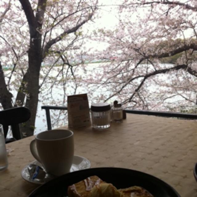 ☆桜の見える喫茶店☆
