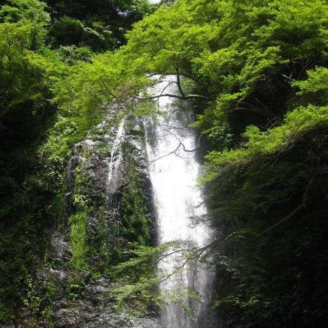 箕面公園へ♪♪