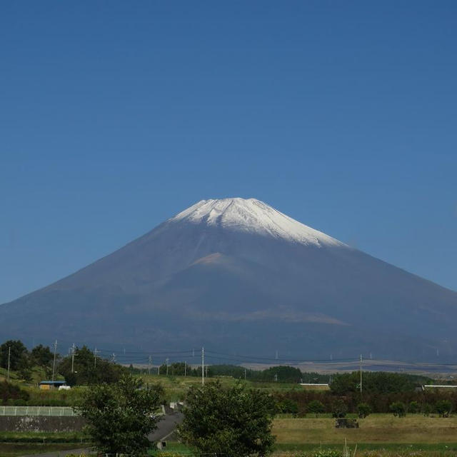 トマトも　調理次第で薬膳に