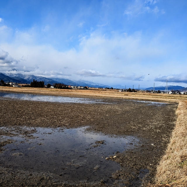 最高気温はこれから