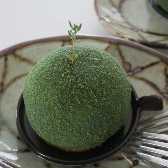 テタンレールのジャポン#今日のおやつはこれ