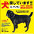 迷子犬 情報求む！！