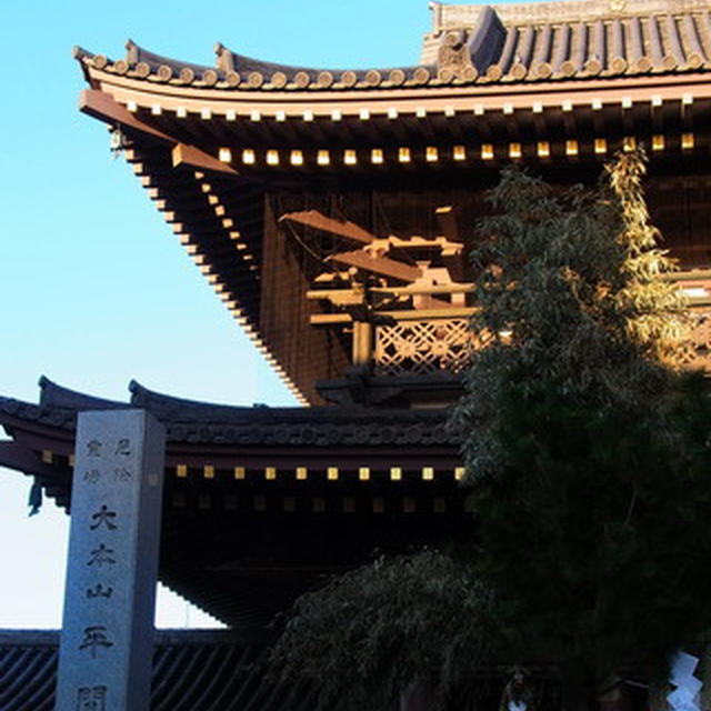 今年も宜しくお願い致します。