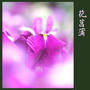 花菖蒲