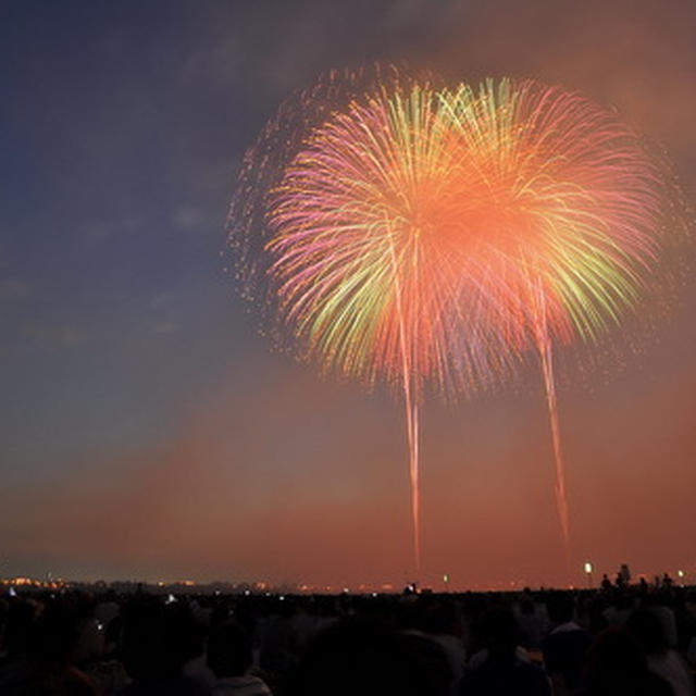 タンポポ花火・・・長岡花火大会＠新潟＊2015年8月2日