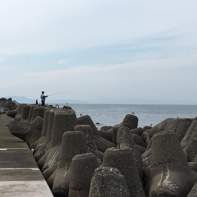 大阪府最南端！小島漁港の釣り場紹介！魚影、魚種、ロケーション最高！